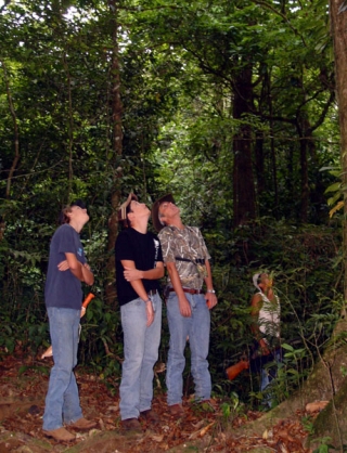 Paseos de senderismo